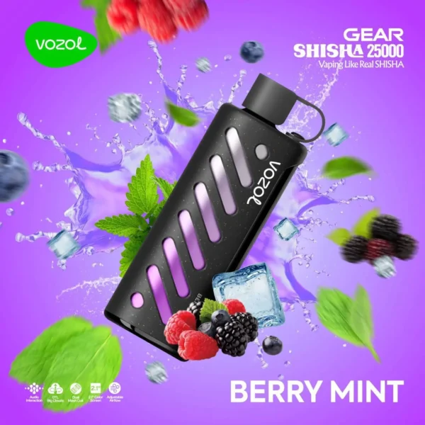 Vozol Gear 25000 Berry Mint - Vozol Gear Shisha 25000, Puff Bar - 1.195,00 ₺