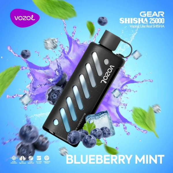 Vozol Gear 25000 Blueberry Mint - Vozol Gear Shisha 25000, Puff Bar - 1.195,00 ₺